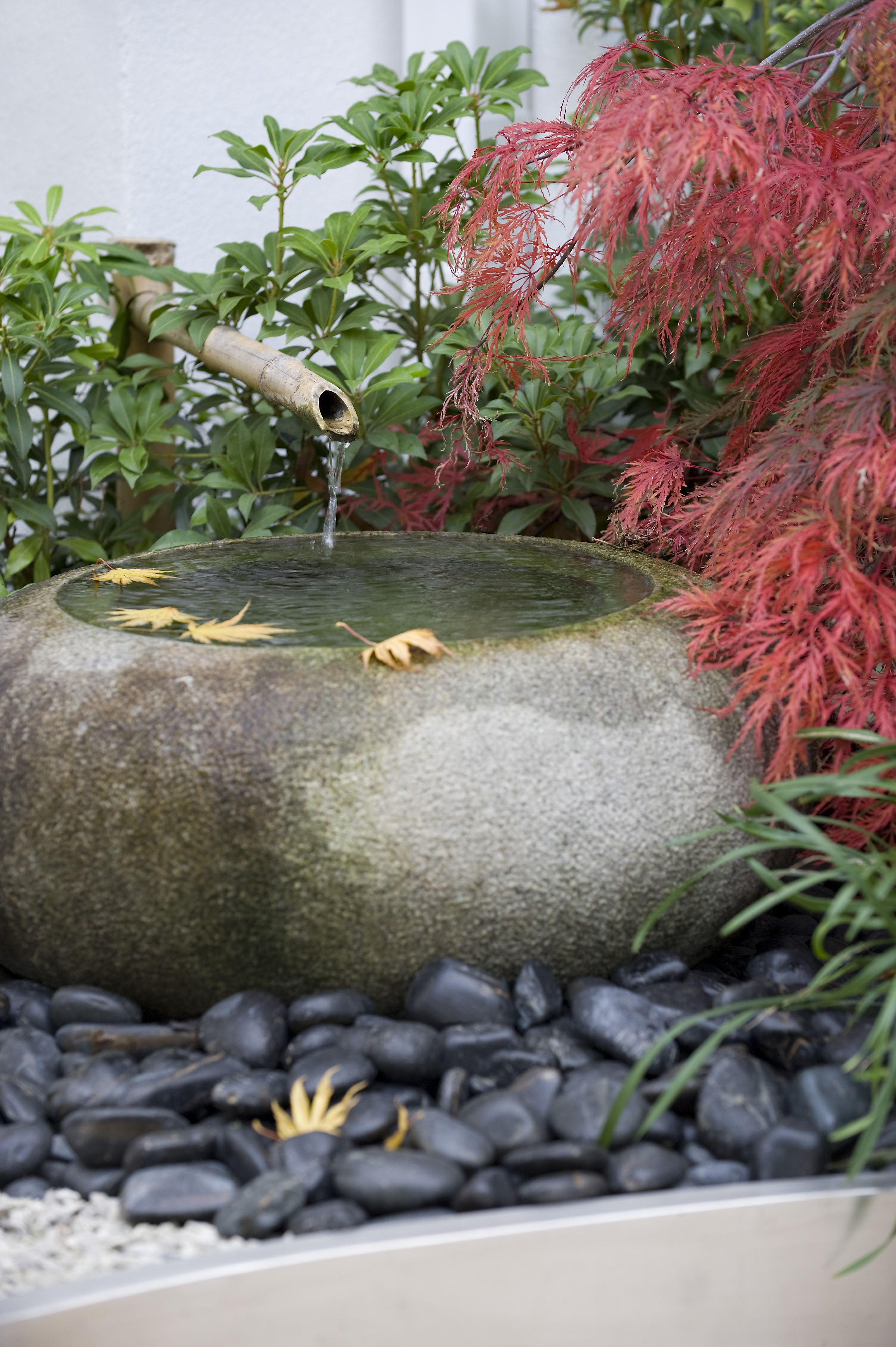 close up water feature in a japanese garden with a bamboo spout and surrounding stones