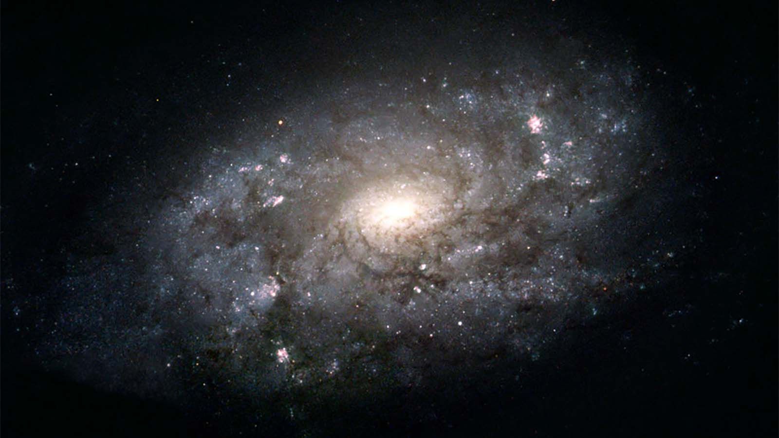 Scientists discover 500 light-year-wide hole in the Milky Way torn open ...