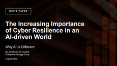 The Increasing Importance of Cyber Resilience in an AI-driven World