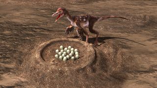 A bird-like dinosaur stands beside a nest full of eggs.