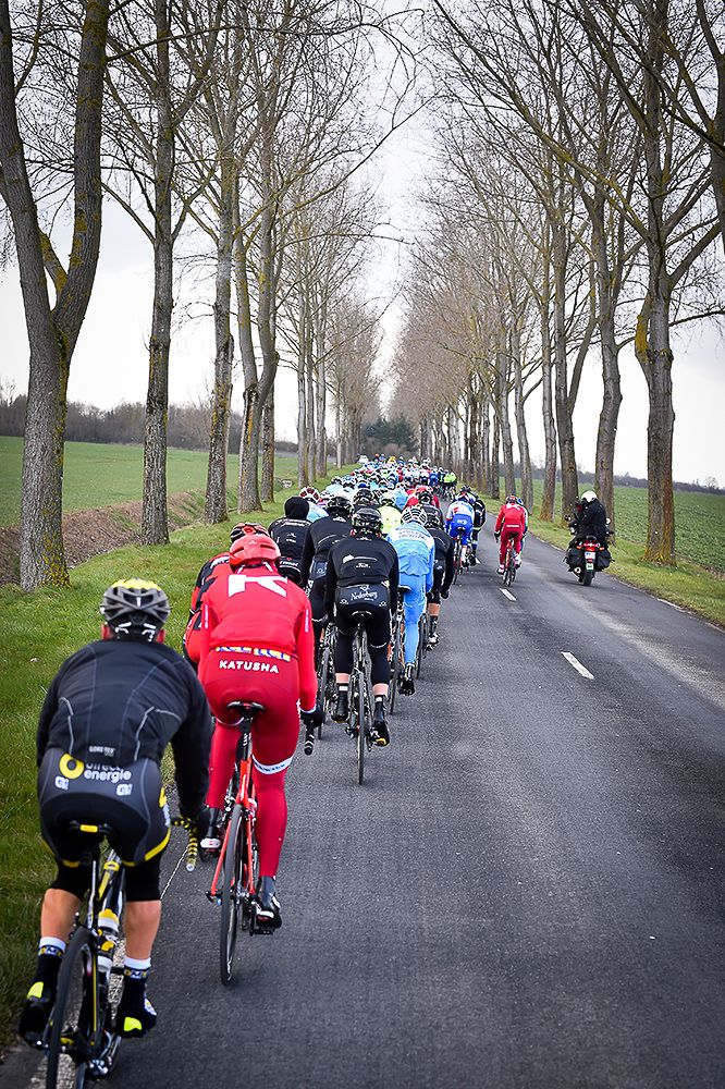 The peloton makes its way through the French countryside during Paris-Nice.