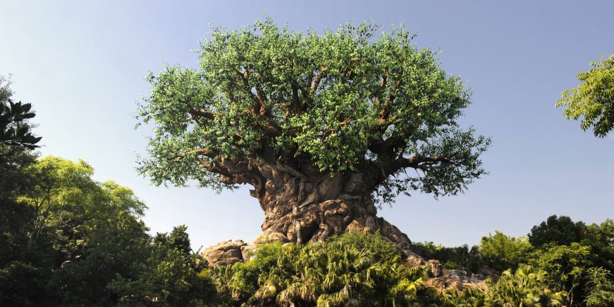 Tree of Life at Disney&#039;s Animal Kingdom