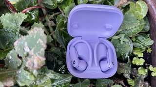 Beats Powerbeats Pro 2 outside on a rainy day, held in a hand and close to a flower-bed