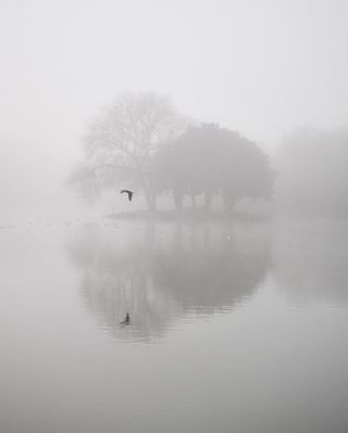 Example of a symmetry photography image