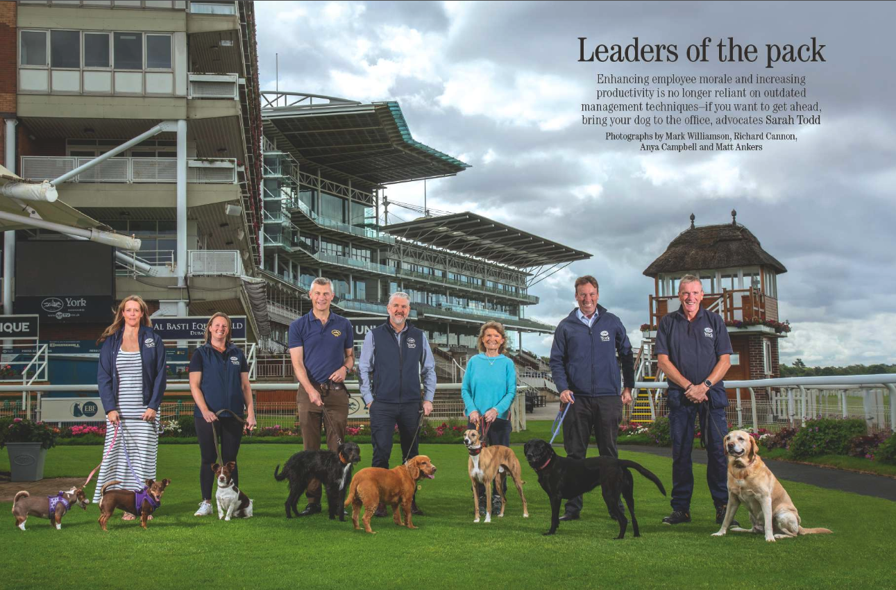 Spreads of the Aug 6 issue of Country Life