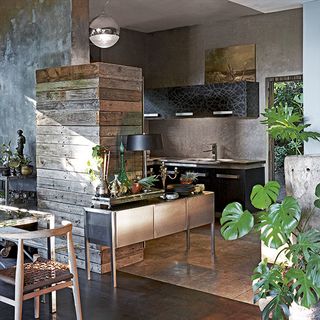 kitchen with black table lamp and potted plant