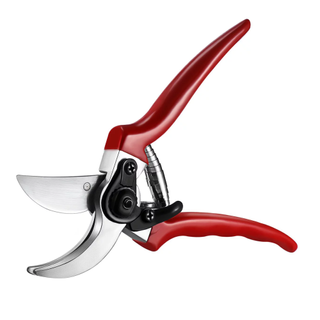 A pair of pruning shears