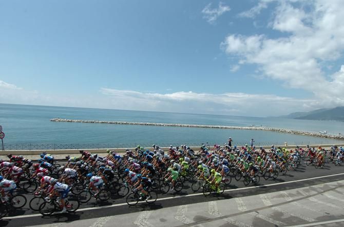 The peloton