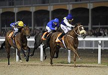 Great-Leighs-racing-1.jpg