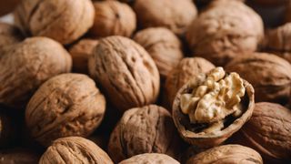 Close up of walnut
