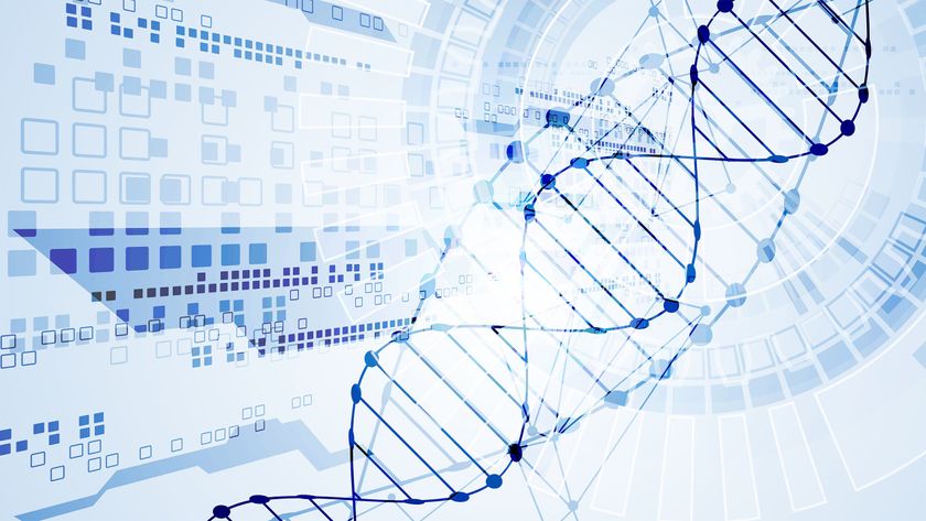 DNA Storage