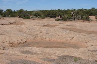 Potholes form in the sandstone layers when snowmelt and rainwater dissolve the natural cement that binds the sand together resulting in the formation of small depressions in the rock.