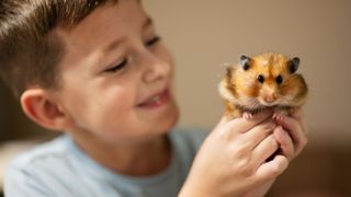 Young child holding brown golden brown hamster smiling