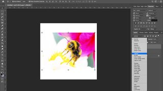 Photoshop tips: Refine Edge tool