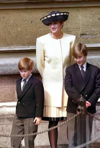 Diana, the Princess of Wales with her sons, Princes William and Harry in 1992 (Martin Keene/PA)