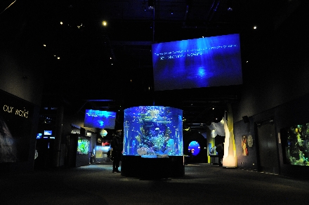 CASE STUDY: VANCOUVER AQUARIUM PUSHES BOUNDARIES WITH CUTTING-EDGE VISITOR EXPERIENCE