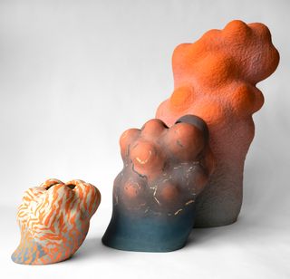 Janny Baek ceramic art