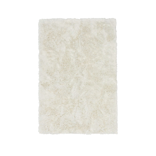 White shag rug