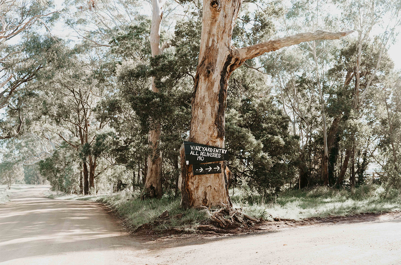 Inland Victoria: Australia&amp;rsquo;s treasure trove of diversity