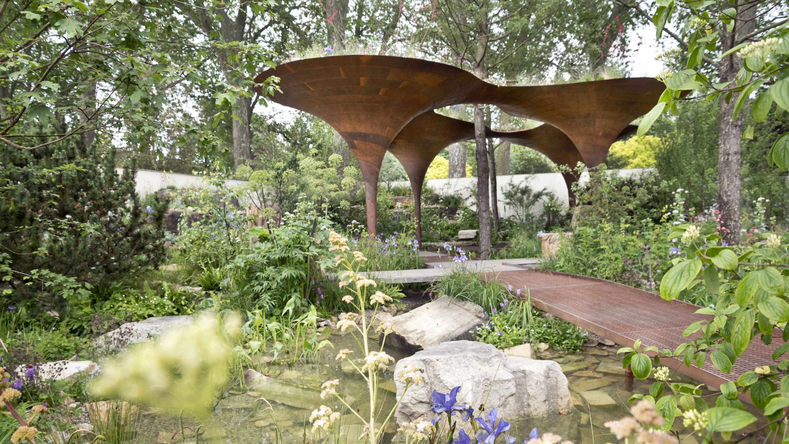 El Niño Could Change Your Yard This Year – What Gardeners In Every Region Of The US Should Prepare For