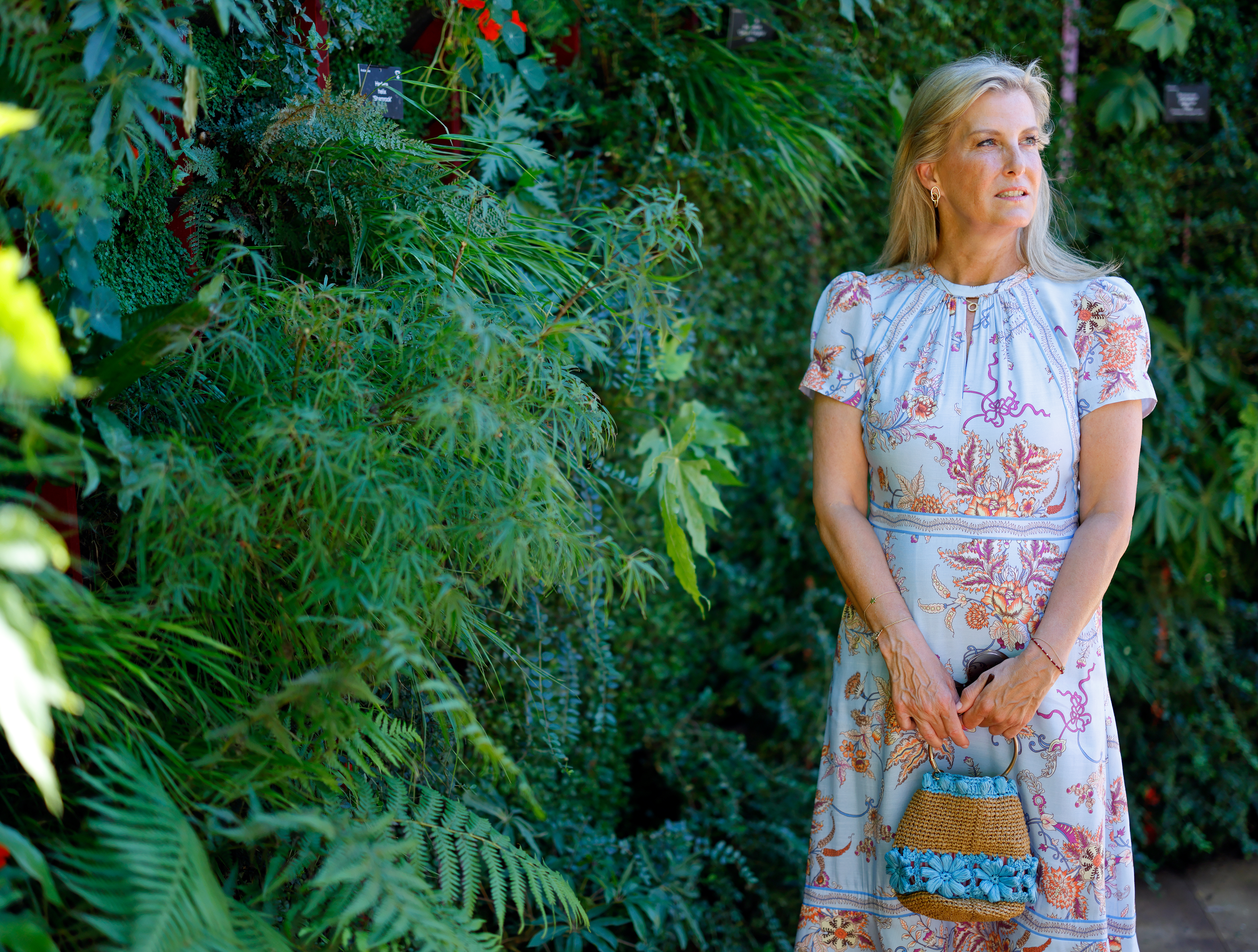 Duchess Sophie wearing a blue floral dress standing in front of a wall of greenery