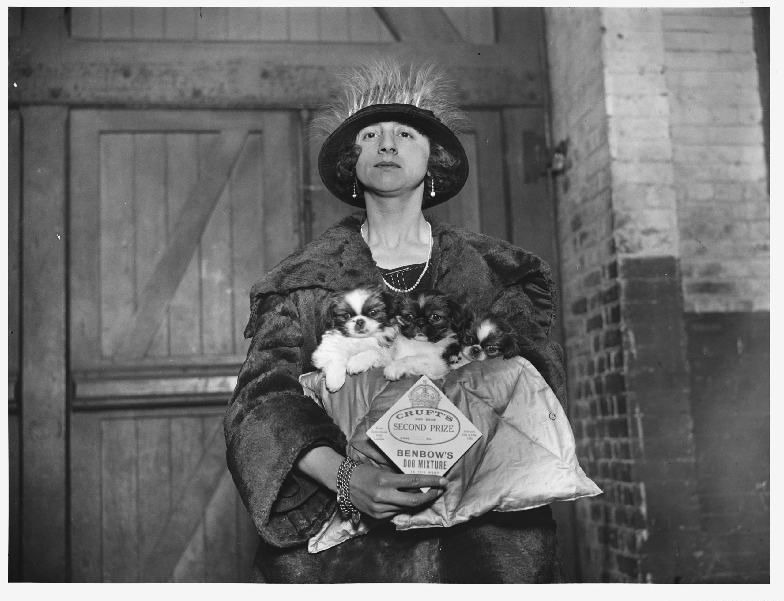 A black and white photograph of a woman in a voluminous black coat and feathered hat holding three Pekingese puppies