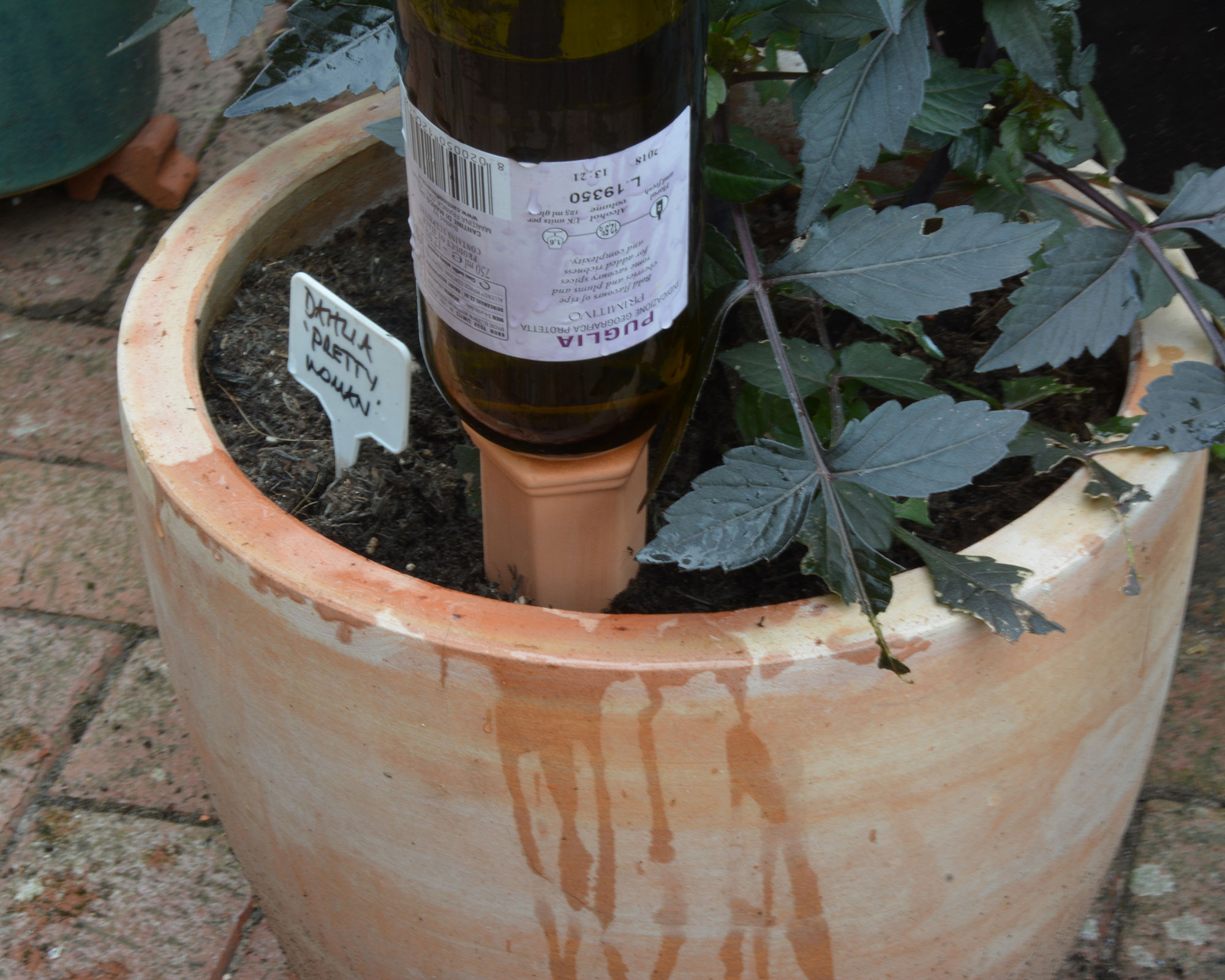 Watering plants while away on vacation how to keep the garden watered GardeningEtc