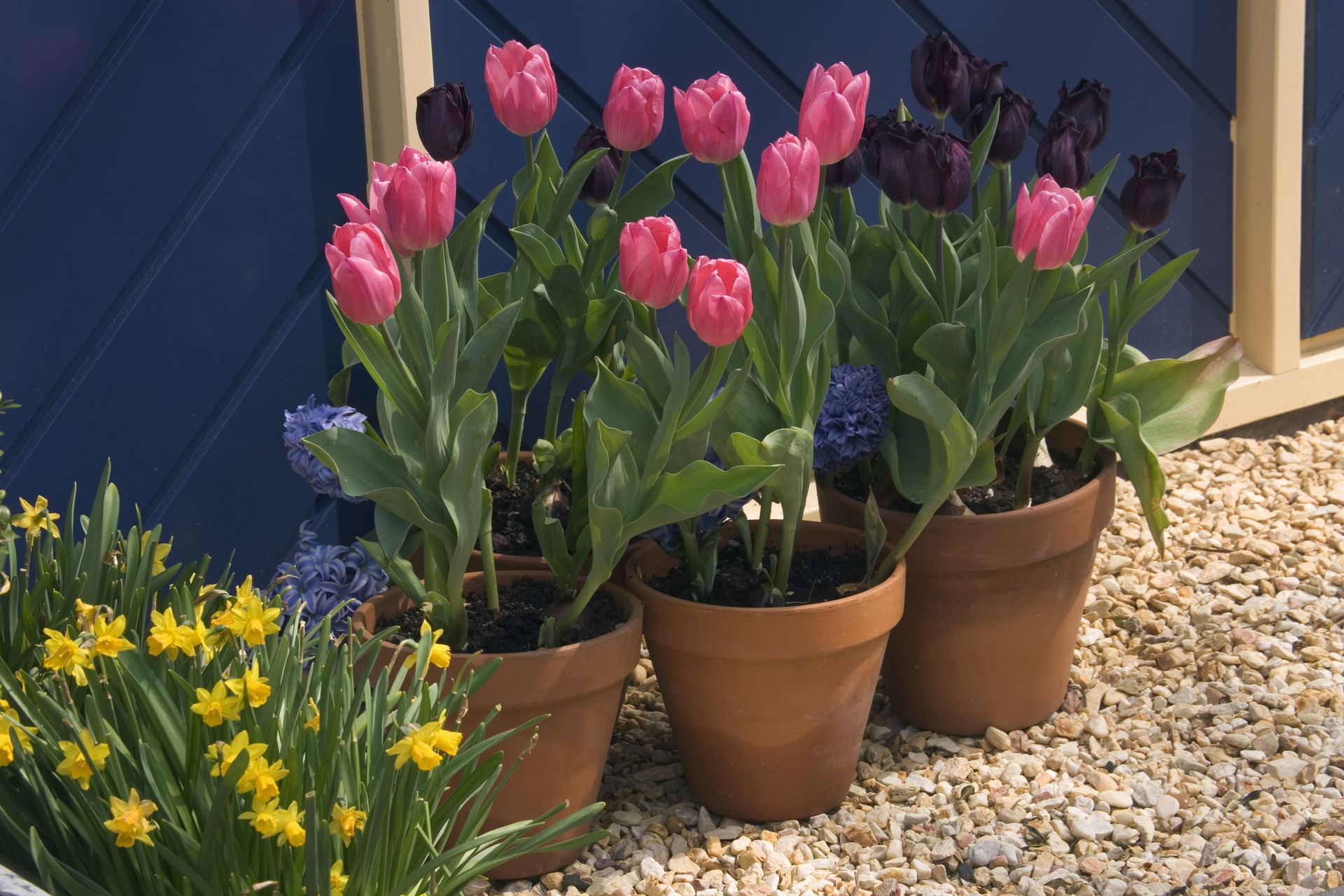 What is clay pot sealer? Here's why you should be using it Livingetc