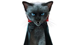 Houdini software: Vampire cat