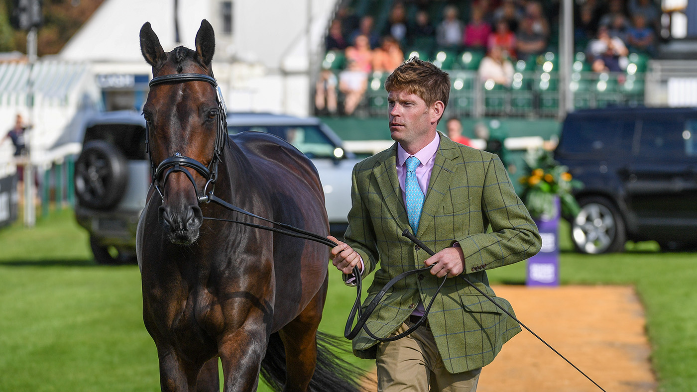 Burghley Horse Trials trot-up photos: Angus Smales