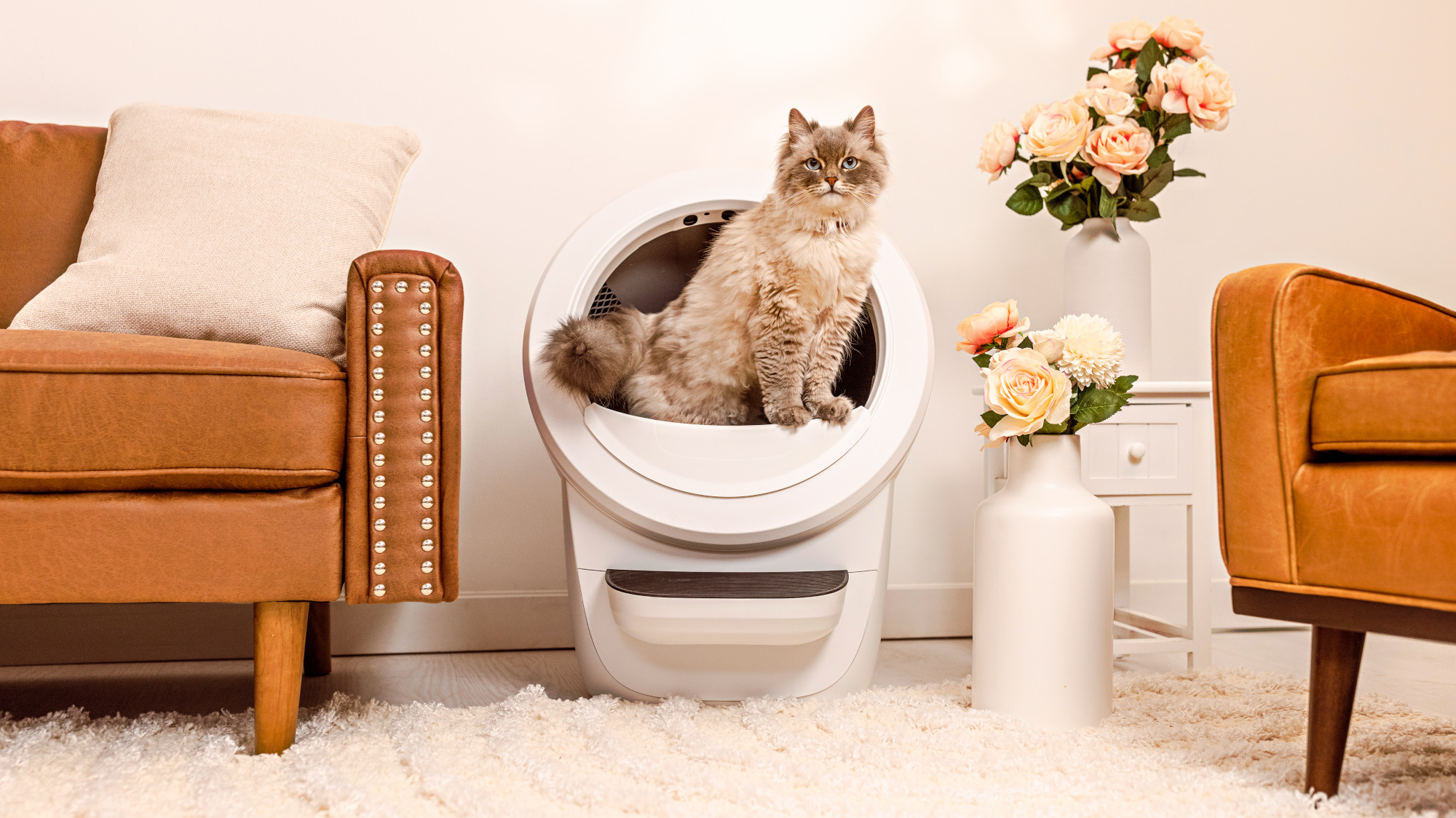 I didn’t just stop scooping poop with the Litter Robot 4, it kept my cats healthy — here’s how