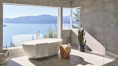A freestanding bath with a view