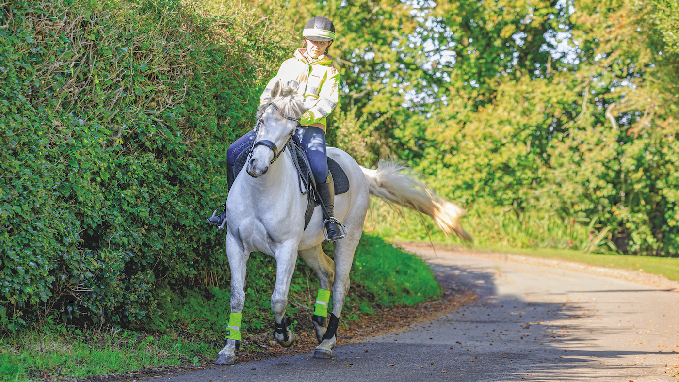 Rider on the road, horse spooking
