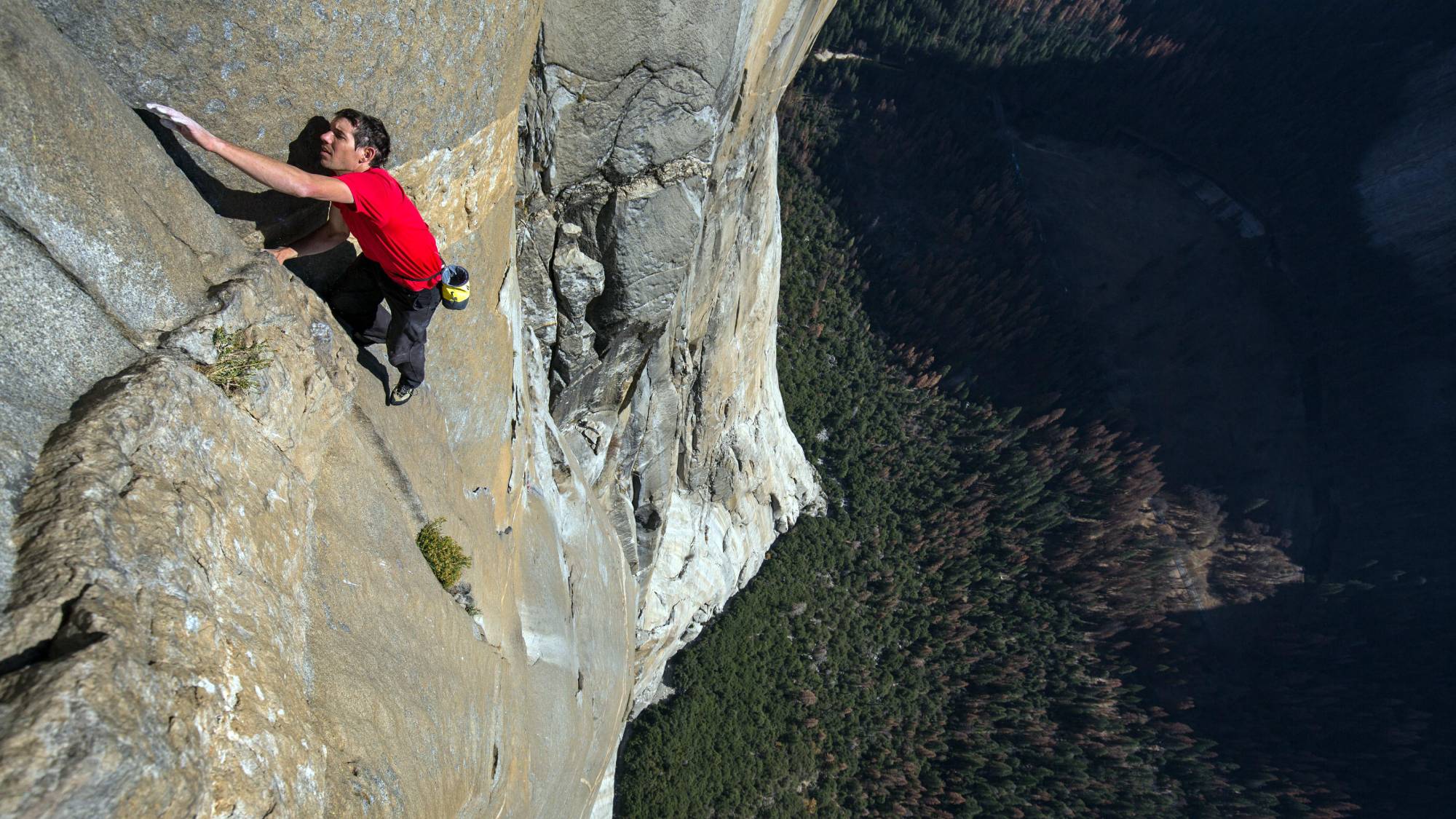 Alex Honnold climbing in "Free Solo"