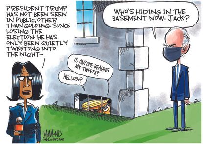 Political Cartoon U.S. Trump Biden basement