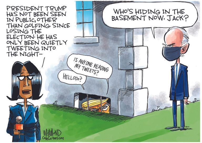 Political Cartoon U.S. Trump Biden basement