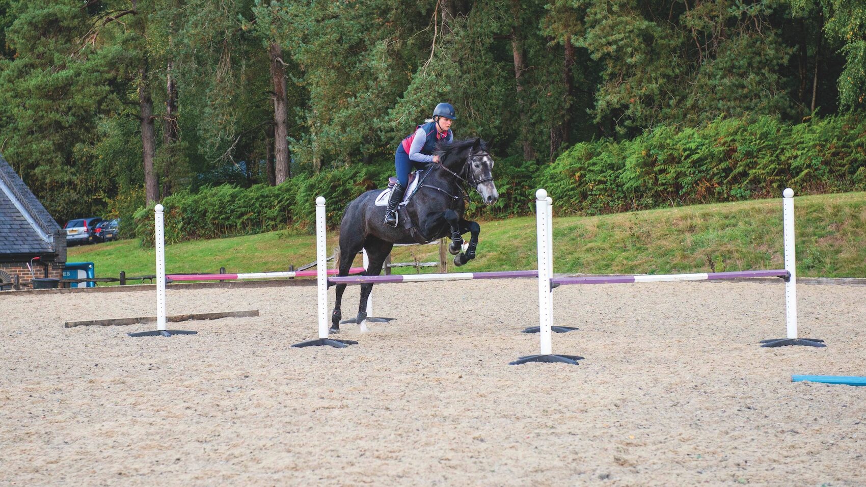 Horse jumping three bounce fences that are set up as an exercise to improve jumping technique