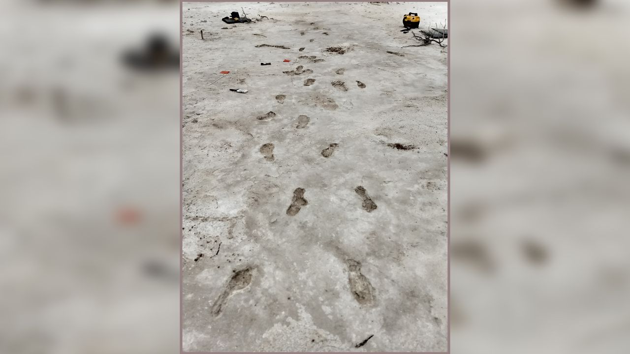 The excavation of a 0.9-mile (1.5 kilometers) trackway showing an out-and-back journey by a Paleolithic caregiver and child more than 10,000 years ago. At the time, the playa abutted a now-dry lake and would have been muddy and pocked with puddles.