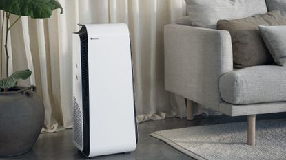 best air purifier: Blueair HealthProtect