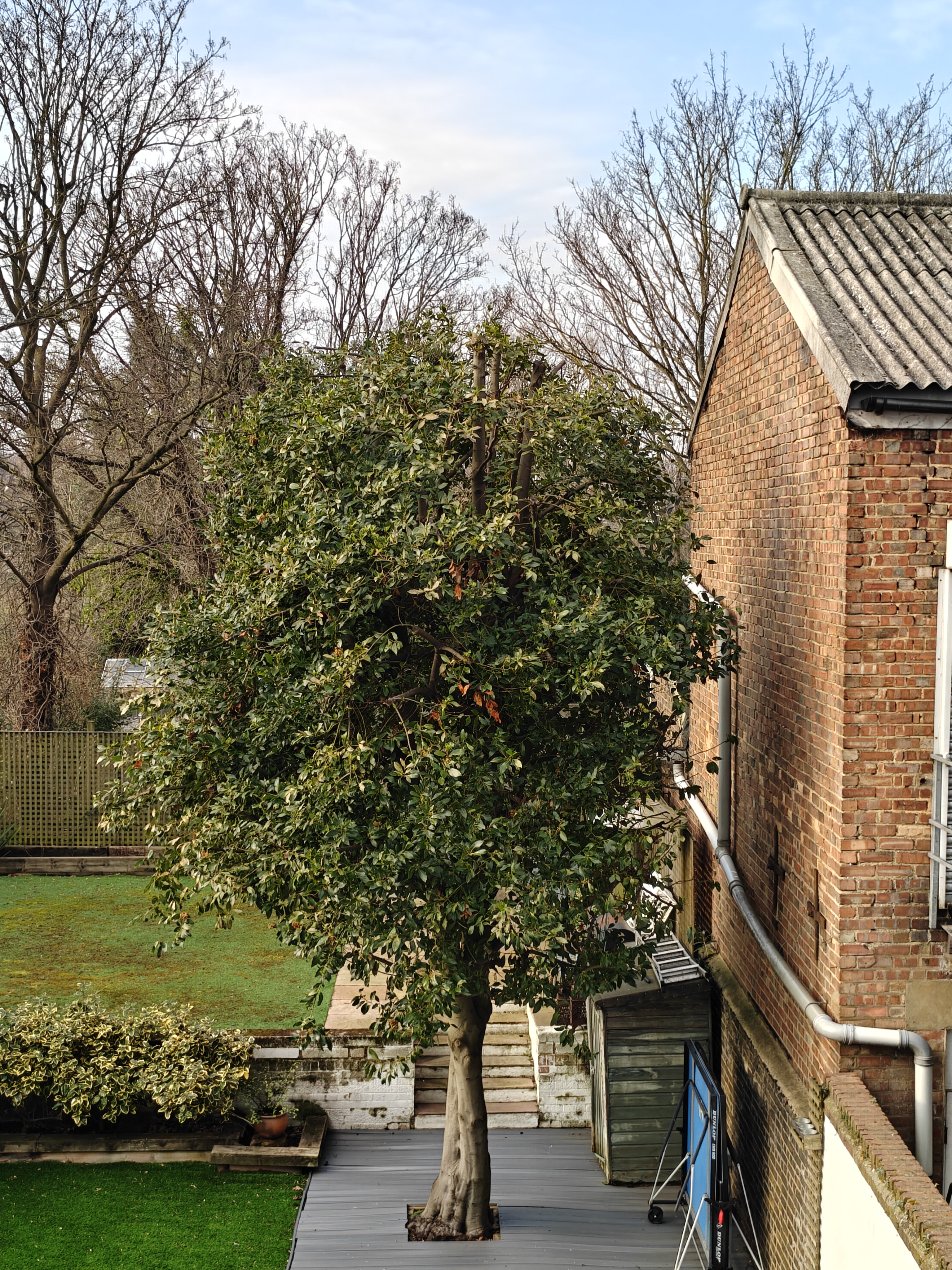 A garden next to a brick warehouse