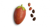 Melt Chocolates Strawberry Egg