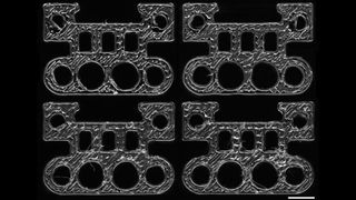 AI trained to fingerprint 3D printer output origin