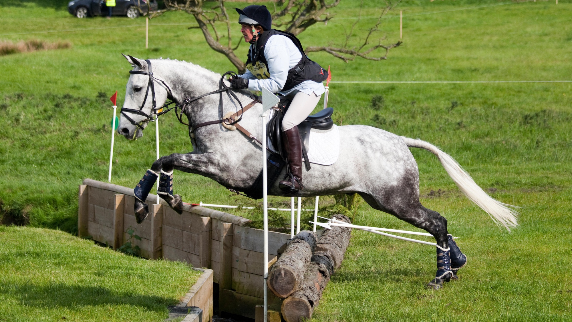 Horse jumping ditch with confidence