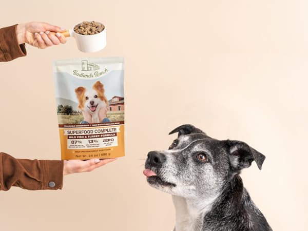 A dog licking his lips looking at some Badlands Ranch dog food
