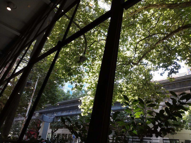 Essential Phone camera sample