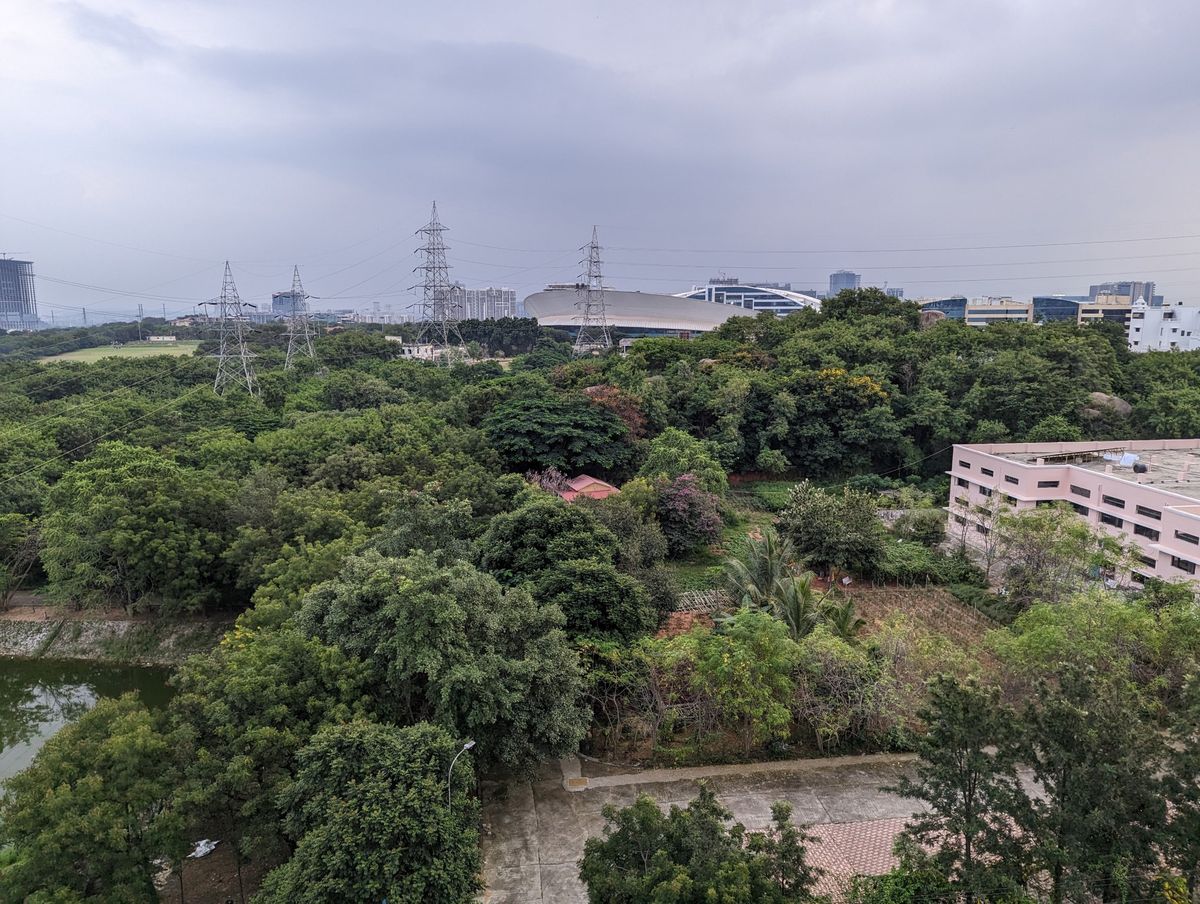 Google Pixel 7 Pro camera shots