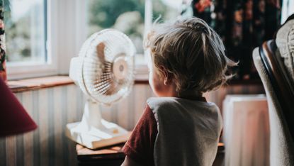 boy with fan in heatwave