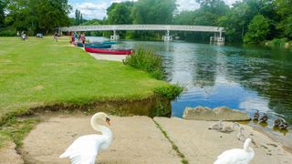 Pangbourne Meadows