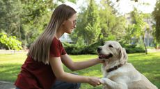 Lady demonstrating how to teach a dog to paw