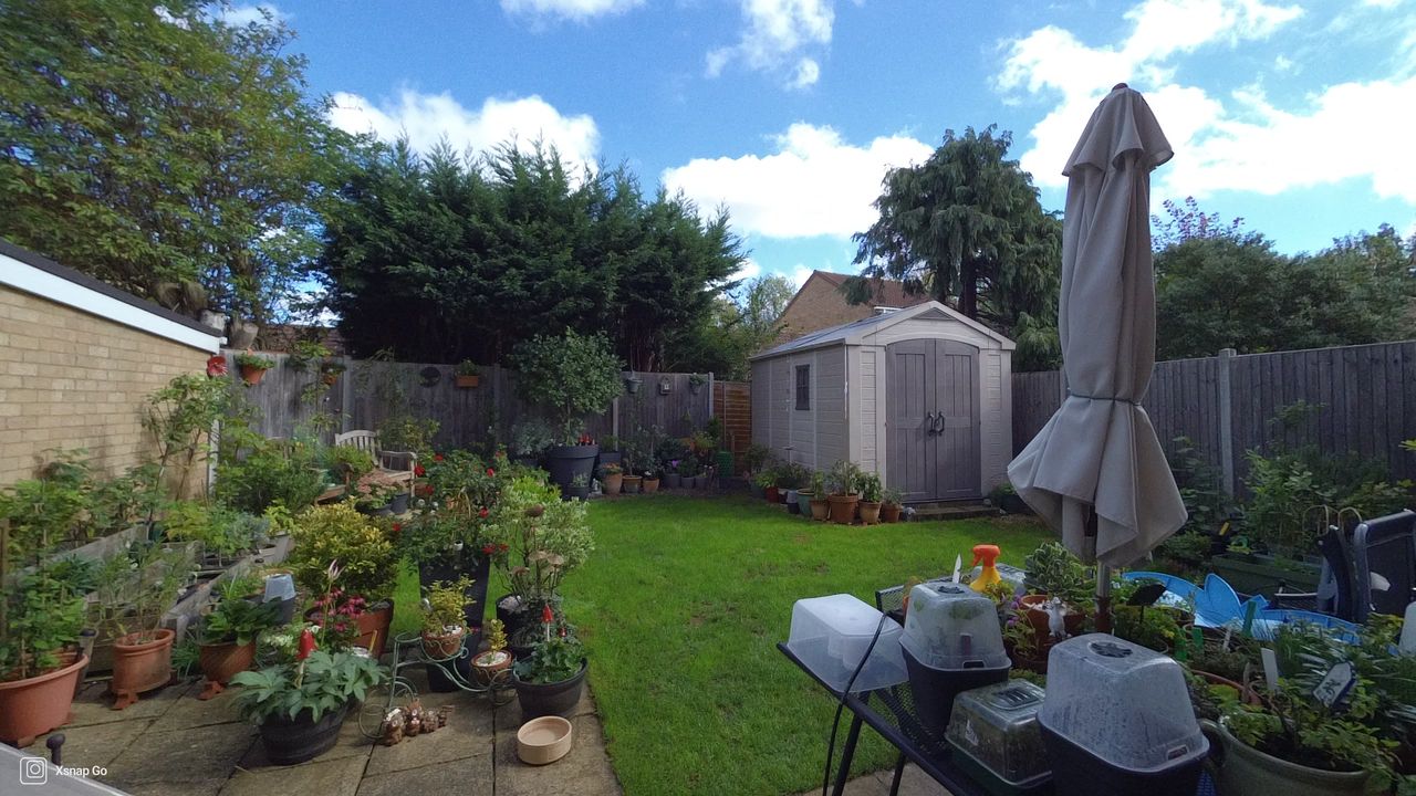 RugOne Xsnap 7 Pro photo examples